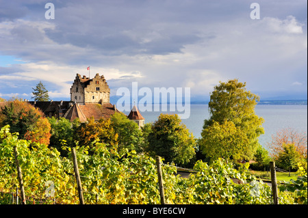 Blick über die Herbst gefärbten Weinberge in Richtung der historischen Burg Meersburg und den Bodensee, Bodensee-Bezirk Stockfoto