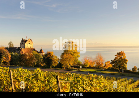 Blick über die Herbst gefärbten Weinberge in Richtung der historischen Burg Meersburg und den Bodensee, Bodensee-Bezirk Stockfoto