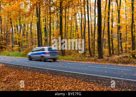 Auto fahren auf einer Landstraße im Herbst, Hessen, Deutschland, Europa Stockfoto