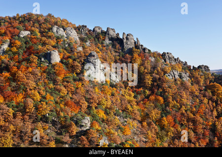 Felsen und Wald im Herbst, oberhalb der Burgruine Dürnstein, Wachau Valley, Region Waldviertel, Niederösterreich, Österreich Stockfoto