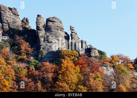 Felsen und herbstlichen Wald oberhalb von Dürnstein Burg Ruinen, Wachau-Tal, Waldviertel, Niederösterreich, Europa Stockfoto
