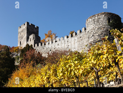 Hinterhaus Burg Ruinen, Stadt von Spitz, Wachau Valley, Region Waldviertel, Niederösterreich, Europa Stockfoto