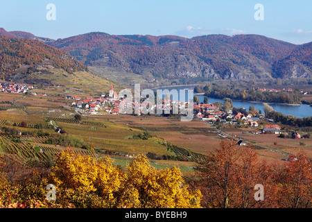 Stadt von Weissenkirchen in der Wachau, Donau, herbstliche kultivierten Landschaft mit Weinbergen, Region Waldviertel, Niederösterreich Stockfoto