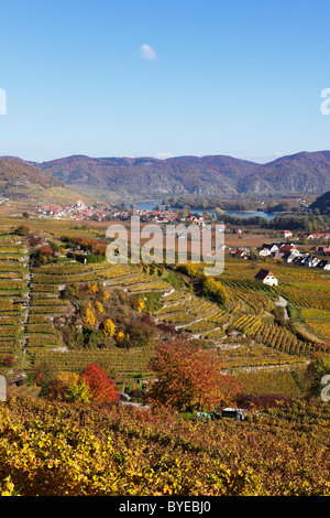 Stadt von Weissenkirchen in der Wachau, Donau, herbstliche kultivierten Landschaft mit Weinbergen, Region Waldviertel, Niederösterreich Stockfoto