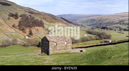 Traditionelle Scheune in der Nähe von Thwaite mit Blick auf Swaledale im Yorkshire Dales National Park. (Panorama) Stockfoto