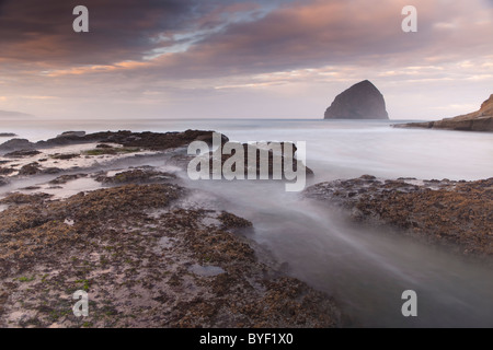 Blick auf Strand, Surf und Felsformationen, Cape Kiwanda State Park, Oregon Coast, Oregon, USA Stockfoto