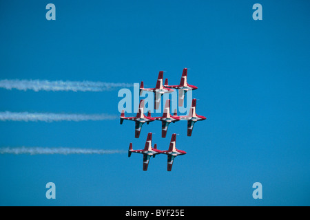 Kanadische Kräfte Snowbirds fliegen in Formation, Abbotsford International Airshow, BC, Britisch-Kolumbien, Kanada Stockfoto