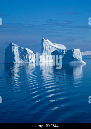 Eisberge in der Konvergenz der Lemaire-Kanal und Gerlache Strait, antarktische Halbinsel Stockfoto