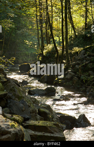 Sanft fließende Gewässer des Hardraw Beck, Down-Dampf aus Hardraw Wasserfall (höchste Einzel-Tropfen in England) in Yorkshire Stockfoto