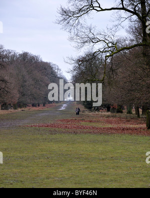 Dunham Massey National Trust Romantik Stockfoto