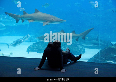 Menschen, die Fische in den großen Ozeanbecken im Georgia Aquarium, Atlanta beobachten Stockfoto