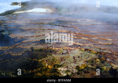 Bunte Travertin Ablagerungen aus heißen Quellen. Mammoth Hot Springs, Yellowstone-Nationalpark, Wyoming, USA. Stockfoto