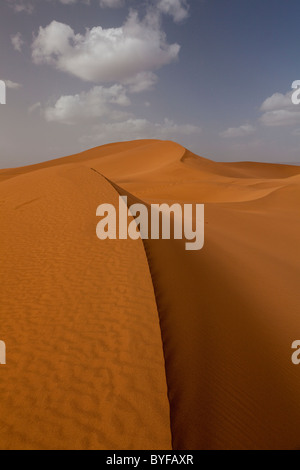 Sanddünen in den Dünen von Tinfou in der Nähe von Zagora, Marokko, Nordafrika Stockfoto