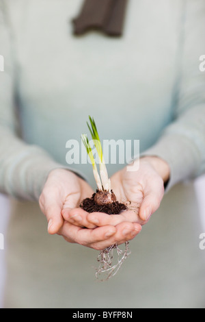 Frau mit Pflanze Setzling Stockfoto