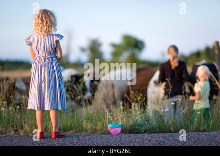 Drei Mädchen auf der Suche auf Kühe auf der Weide Stockfoto