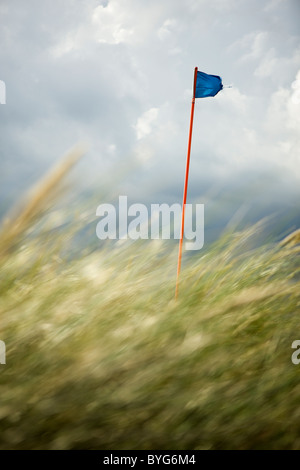 Golfplatz Flagge hinter grass Stockfoto