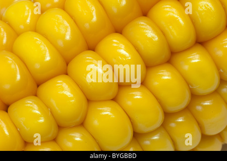 Mais, Mais (Zea Mays). Maiskolben Detail. Stockfoto