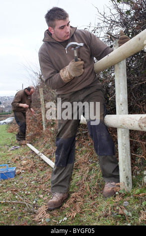 Männer, die Errichtung eines neuen Holzzaun, Nägel Hämmern in Planstellen. Stockfoto