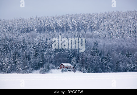 Schneebedeckten Wald und Haus im winter Stockfoto