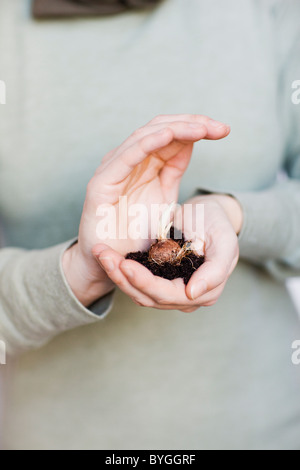 Frau mit Pflanze Setzling Stockfoto