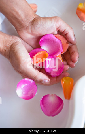 Nahaufnahme von Händen mit Rosenblüten im spa Stockfoto