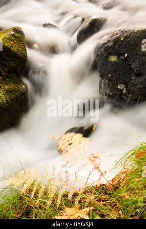 Tumbling Wasserfall fließt durch reiche Herbstfärbung in der alten Forrests auf Dun Ghallain Stockfoto