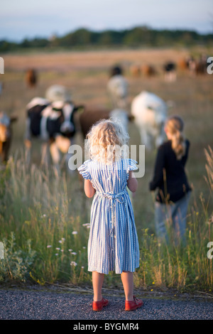 Zwei Mädchen auf der Suche auf Kühe auf der Weide Stockfoto