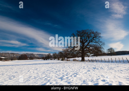 Schnee bedeckt die Landschaft, Boxley, Kent, South East, England, Großbritannien Stockfoto