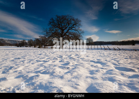 Schnee bedeckt die Landschaft, Boxley, Kent, South East, England, Großbritannien Stockfoto