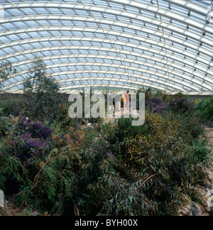 Menschen in das große Glashaus Blick auf Sträucher an der National Botanic Garden of Wales Carmarthenshire Wales UK KATHY DEWITT Stockfoto