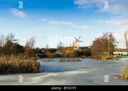 Im Dezember 2010 der Teich in Skerries Mills zufroren und Enten hatte nur eine kleine Öffnung im Eis - co Dublin Irland Stockfoto