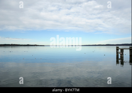 Steg mit Möwen am Starnberger See, Ammerländer, Deutschland Stockfoto