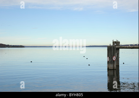 Steg mit Möwen am Starnberger See, Ammerländer, Deutschland Stockfoto