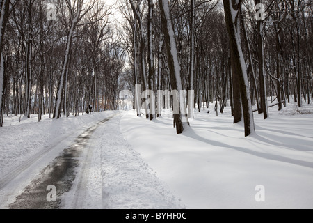 Winter-Country Road, Stadtrundfahrt durch Straße, die durch hohle Jockey, National Historical Park in Morristown, New Jersey Stockfoto