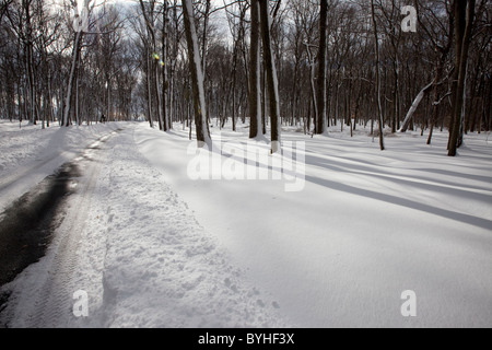 Winter-Country Road, Stadtrundfahrt durch Straße, die durch hohle Jockey, National Historical Park in Morristown, New Jersey Stockfoto