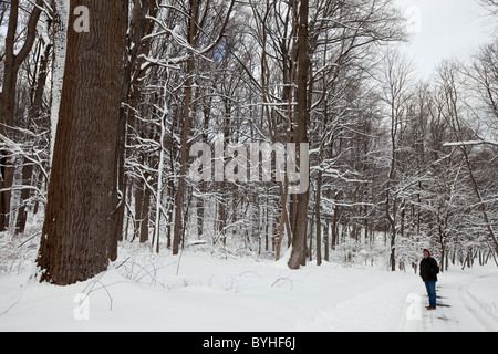 Einweichen in der Landschaft, hohlen Jockey National Historical Park in Morristown, New Jersey Stockfoto