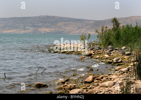 Felsen am Ufer des See Genezareth in Israel. Stockfoto