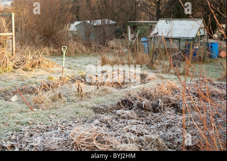 Ein Schrebergarten an einem kalten frostigen Wintermorgen, Wales UK Stockfoto