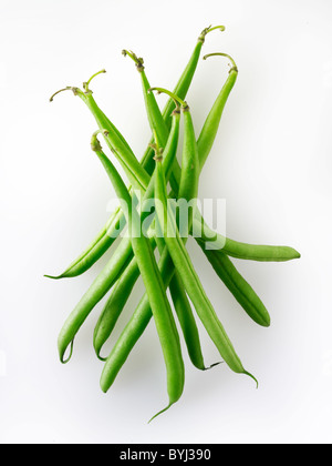 Frisch gepflückte grüne Bohnen, ungekocht und bereit zur Vorbereitung, bekannt als feine Bohnen, Haricot vert, französisch Bohnen. Ausgeschnitten Stockfoto
