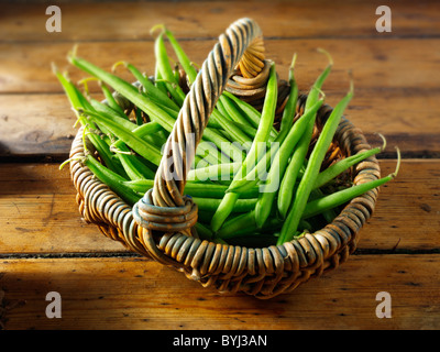 Frisch gepflückte grüne Bohnen, ungekocht und bereit zur Zubereitung, bekannt als feine Bohnen, Haricot vert, französisch Bohnen. Stockfoto