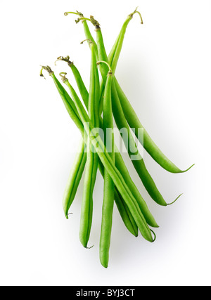 Frisch gepflückte grüne Bohnen, ungekocht und bereit zur Vorbereitung, bekannt als feine Bohnen, Haricot vert, französisch Bohnen. Ausgeschnitten Stockfoto