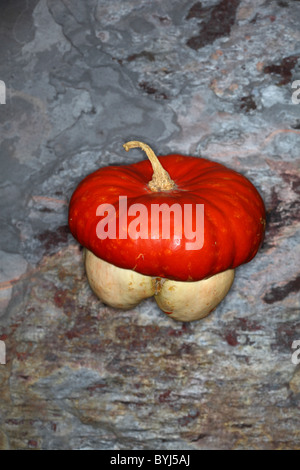 Insgesamt dekorative Kürbis squash Stockfoto