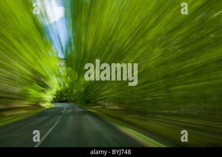 USA, Maine, unscharfen Bild des Auto fahren auf kurvenreichen Straße durch dichten Wald an Sommernachmittagen Stockfoto