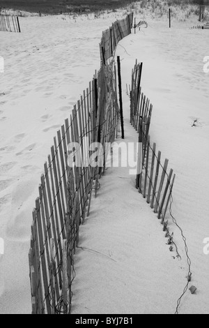 USA, Massachusetts, Chatham Strand Zyklon Zaun in Sanddünen entlang Atlantik auf Cape Cod am Sommermorgen Stockfoto