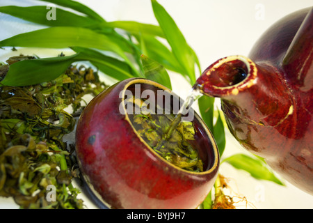 Traditionelle asiatische Tee Tülle gießt in Tasse getrocknete Kräuter Stockfoto