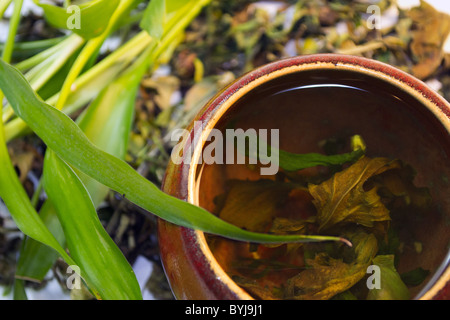 Draufsicht der traditionellen asiatischen Tee Tasse Stockfoto
