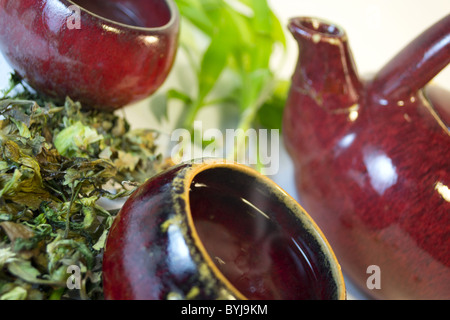 Dampfende Tasse Tee aus Japan Stockfoto