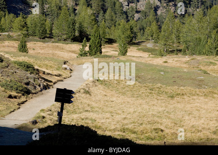 Fußweg, Radweg, sind leicht zu finden mit dem Trail Zeichen in der Alpenregion Südtirol, Val Martello, Italien Stockfoto