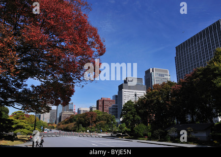 Imperial Palace Plaza im Herbst Stockfoto