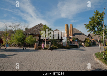 Bioparc Valencia, Spanien Stockfoto